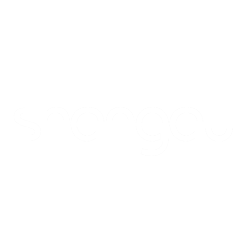Shangay Voyager
