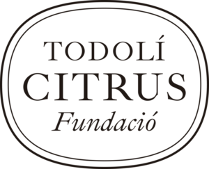 Fundación Todoli